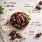 SUNNAC Premium Wet Dates – 400g | Soft & Juicy Khajur | Naturally Sweet & Fiber Rich